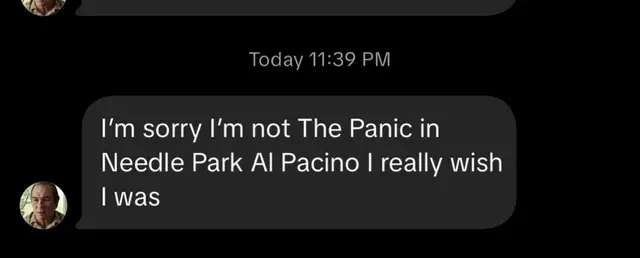 #alpacino #thepanicinneedlepark 