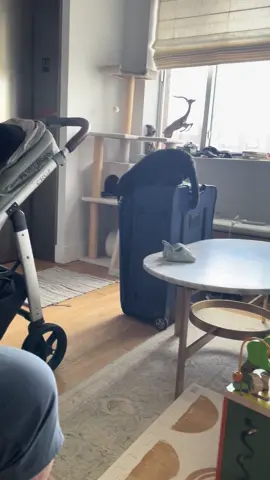 Don’t mind the mess