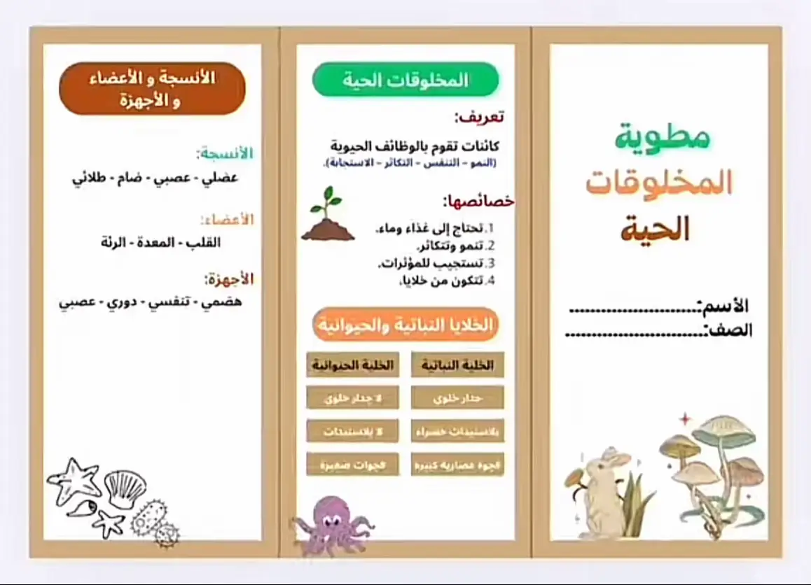 #مطويات #مطوياتي #foryou #اكسبلور #trending 