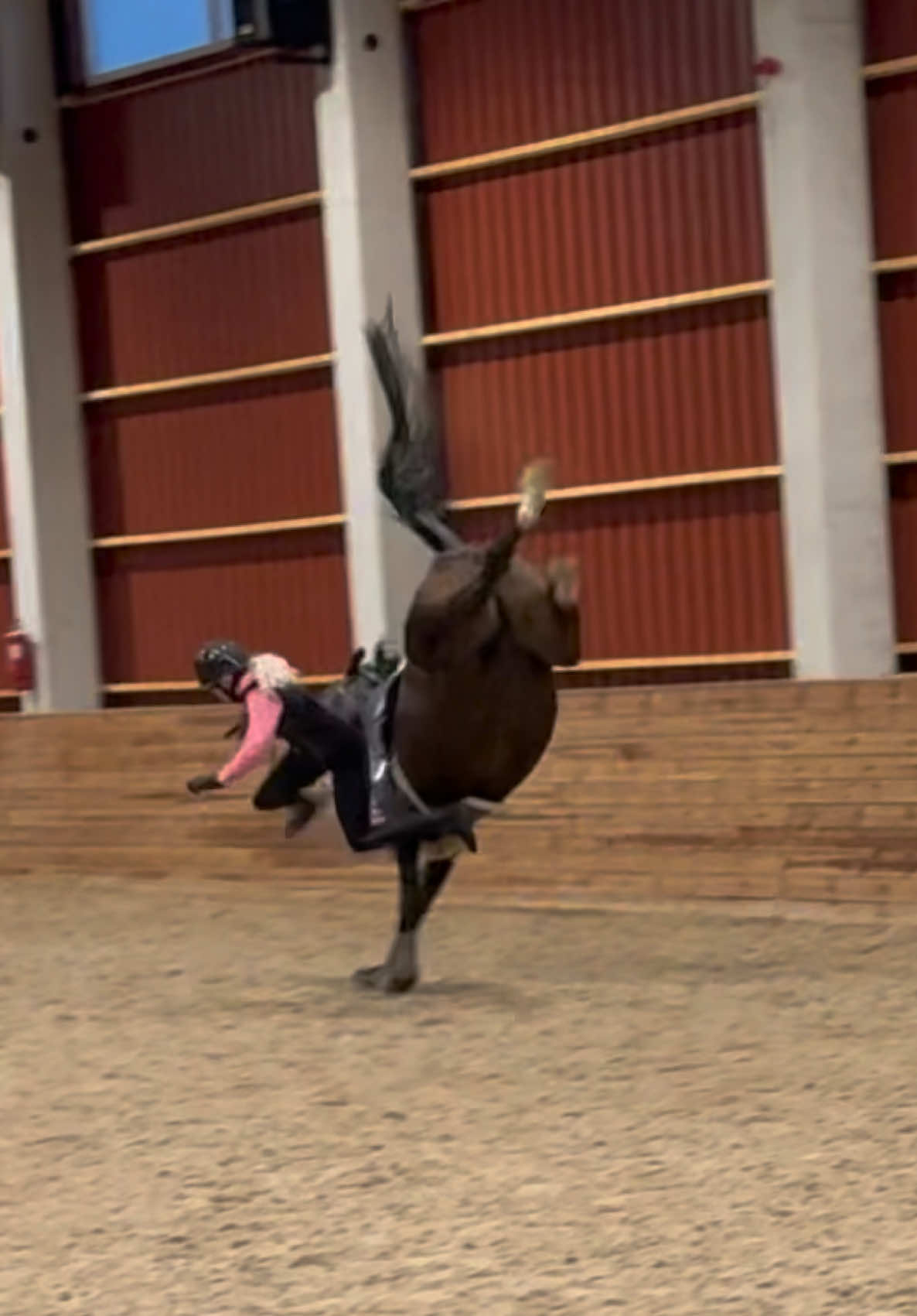 Tutorial on how to smash your tibia bone🤩🙏🏻 #showjumping #equestrian #horsefail #equestrianlife #fail 