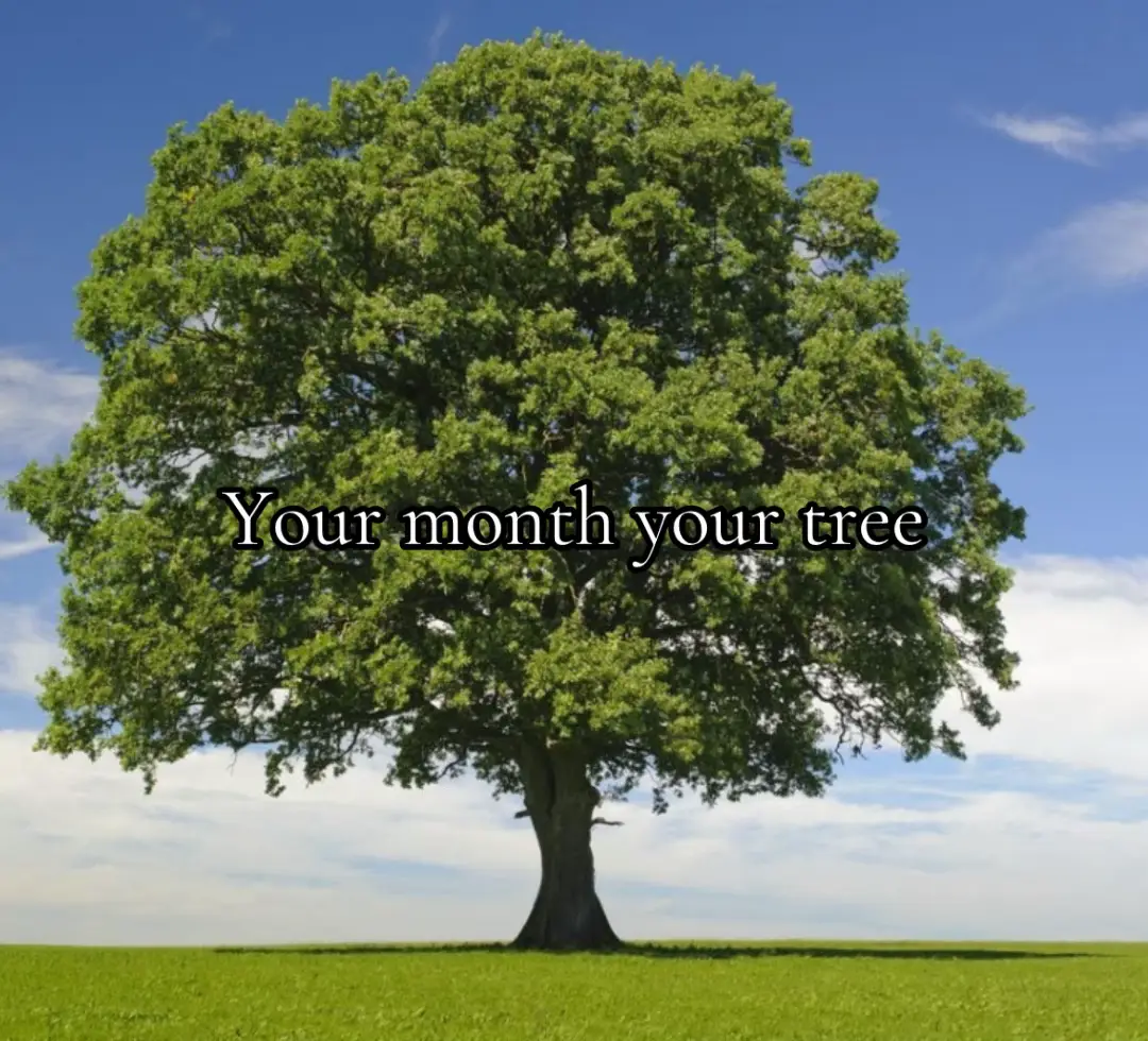 #tree #months #birthday #fyp 