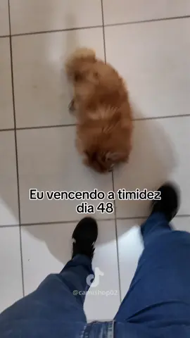 Olha a menina do Magnésio Inositol aí!!! 🤣 O Magnésio Inositol da Body Action já está viralizado aqui no Tiktok e todo mundo já sabe!  Ele ajuda a desinch@r, regular o sono, controlar a ansiedade e o estresse, e dá mais disposição para o dia a dia. Tá com desconto e frete grátis clicando aí no carrinho laranja. 🛒 #magnesio #magnesioinositol #videosengracados #comedia #inchaco 