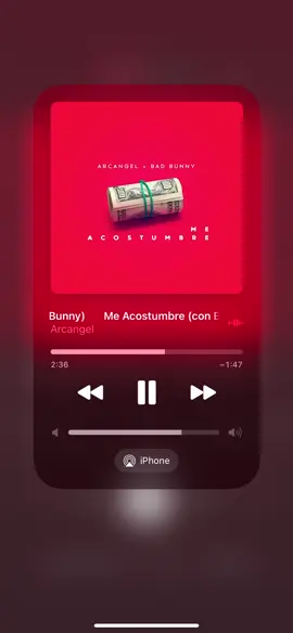 Me acostumbre - Arcángel y Bad Bunny #arca #elconejomalo #meacostumbre 