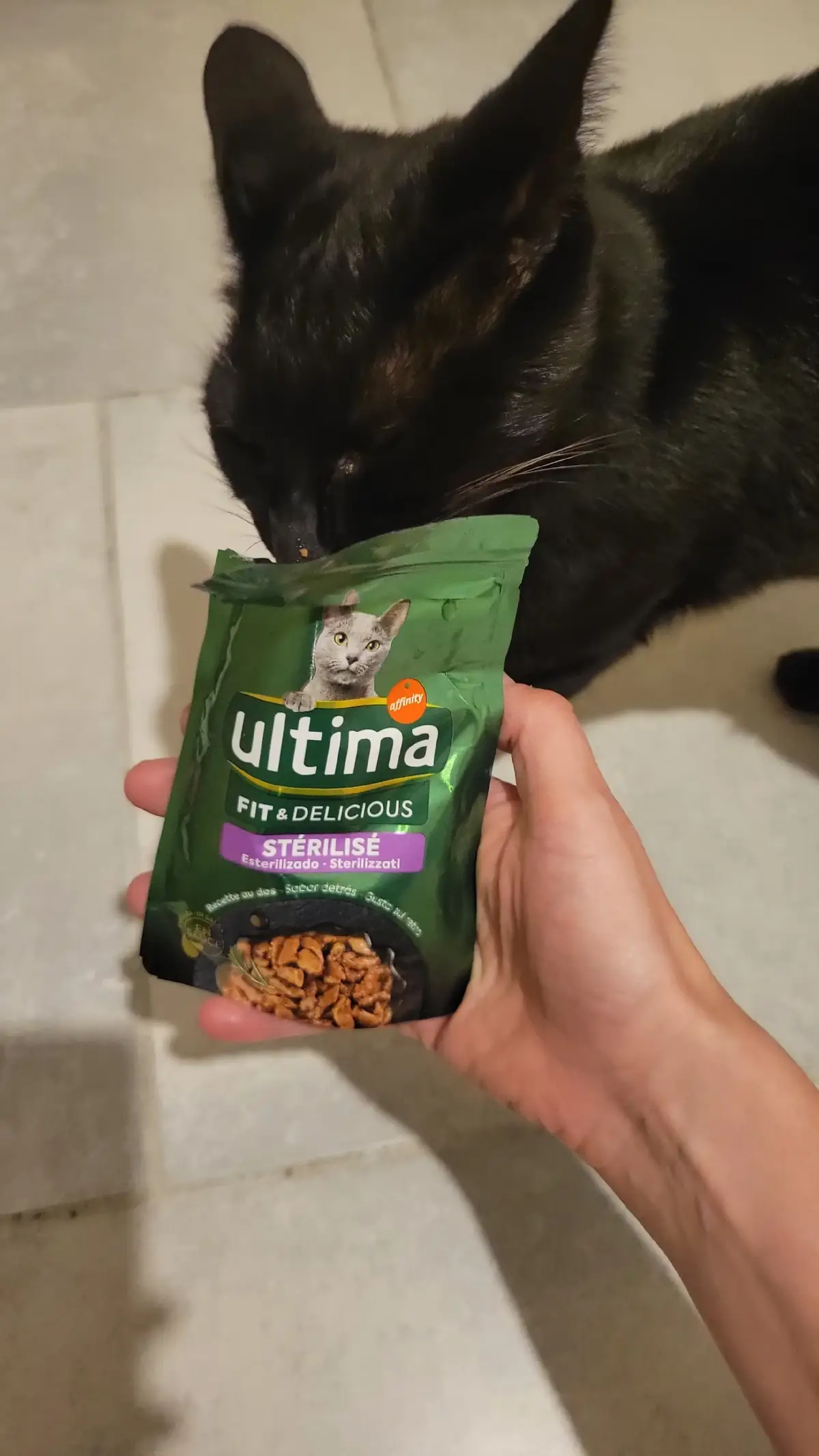 #ultimafit&delicious .  #ultima Ultima Petfood France trnd France #trndfrance  #collaborationcommercialenonremuneree #produitoffert  Elle ne peut plus s'en passer lol même pas le temps de mettre dans sa gamelle lol.