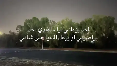 #هواجيس 