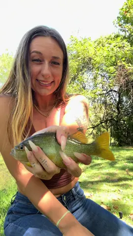 I get asked almost everyday if I ever fish with lures. I do. I just fish however I feel , lately I was really loving fishing with night crawlers, but as the season change , the fish adapt. Slow rolling top water cricket on a crazy light action rod sure made my day 🙌🏼 I think you guys will appreciate my crankbait action just give it a week or two to finally settle in with the temps. #fishing #fishingtips #fall #nikkitightlines #fyp 