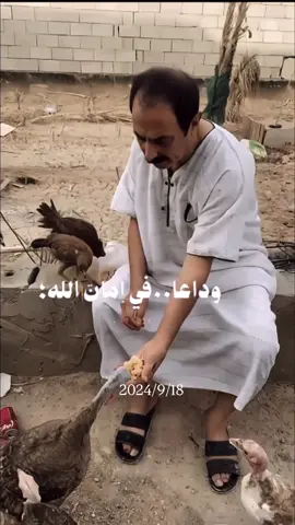بهذا اليوم انكسر كلشي بـ گلبي 2024/9/18 الساعه بـ 6:47 المغرب ابوي فجأه طاح وبسرعه مات 🥺 وسعادتي وضحكتي وحياتي وروحي كلشي مات وي ابوي عزيزي وحبيبي🥺💔 سنه كامله وانه ما شايفه ابوي ما سامعه صوته ضحكته فقدت حبيب عيوني الي بكل موقف وبكل يوم انه احتاجه واحتاج حنيته عليه بويه صارلي سنه كامله وانه انتظرك ترجعلي واعيش واكبر يمك 🥺💔 وما رجعتلي يـ بويه هواي مشتاقتلك وهواي محتاجتك اتمنى اموت واجي يمك يا حبيبي ردت يومي قبل يومك حتى لا اعيش العمر بدونك  🥺💔سندي وحبيب روحي انتَ مستحيل بيوم من الايام راح انسى دلالك وحبك وحنانك اليه مستحيل انساك انتَ سندي وفرحتي وكلشي حلو بهاي دنيا خسرته 🥺💔 الله يرحمك يا نبض گلبي ونور عيوني 🥺💔🫂. #عزيز_روحي #الامان #حبيبي #سندي #w 