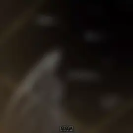 the hollow knight...#hollowknight #purevessel #hollowknightedit #hollowknightsilksong #edit 