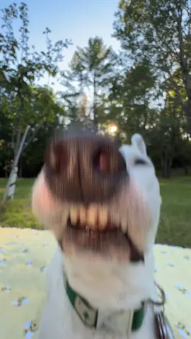 “What’s so funny?” Me: #funny #laughing #comedy 