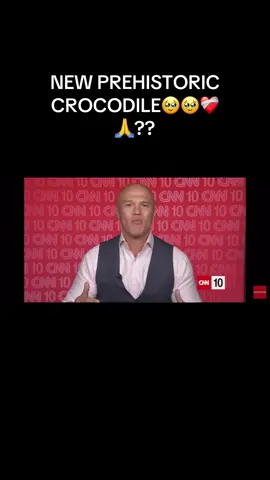 #viral #cn10 #crocadilelover4life 