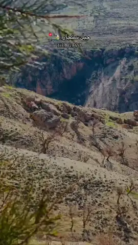 #شمر_السناعيس_الضياغم_الطنايا #جبل_سنجار 