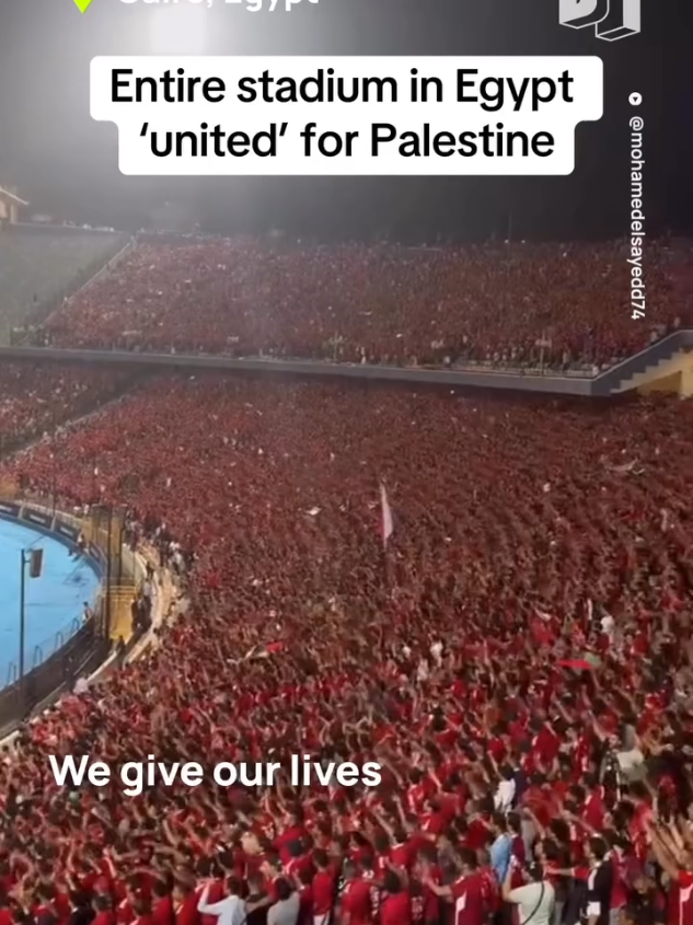 الله أكبر الجماهير المصرية 🔥⚽️ تهتف لفلسطين🇵🇸 من داخل الملعب وتقاطع المباراة 💔🔴🔴 #فلسطين🇵🇸 #فلسطيني #فلسطين #غزة_فلسطين #palestine🇵🇸 