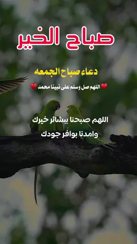 دعاء يوم الجمعة اللّهم يا حي يا قيوم يا ذو الجلال والإكرام اهدنا في من هديت وعافينا في من عافيت واقض عنّا برحمتك شرّ ما قضيت إنّك تقضي بالحق ولا يقضى عليك آمنا بكتابك الذي أنزلت وبنبيك الذي أرسلت فاغفر لنا ما قدمنا وما أخّرنا وما أسررنا وما أعلنّا وما أنت به أعلم أنت المقدم وأنت المؤخر وأنت على كل شيء قدير اللهم لك الحمد ملء السموات وملء الأرض وملء ما بينهما وملء ماشئت بعدهما