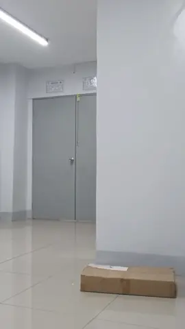 Train Dog 😂 #tiktok #funny #funnyvideos #fun #comedia #comedyvideo #fyp #fypシ #fy #fypage #fyppppppppppppppppppppppp #viral #viralvideo #viraltiktok #video #highlight #shorts #entertainment 