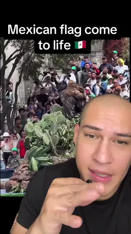 #greenscreenvideo #greenscreen #mexican 