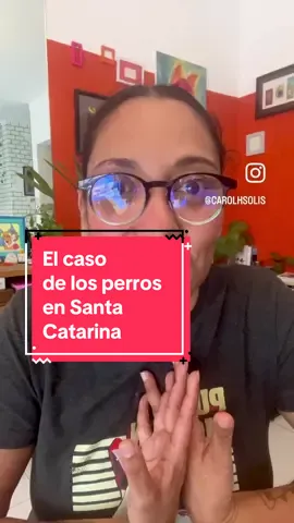 Sí, sí estoy emperrada. El caso de los perros sacrificados en Santa Catarina es más que solo un hecho desgarrador. Es una ausencia de políticas públicas reales para atacar el problema de los perros y gatos en condiciones de calle. “No sabemos por qué fueron sacrificados” Sí, sí sabemos!