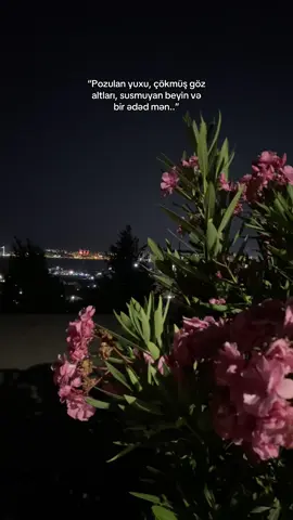 ) #keşfet #foryou #viral #global #qruzvar 