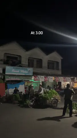 Pelarian kelelawar tanpa sayap saat lapar🥹 