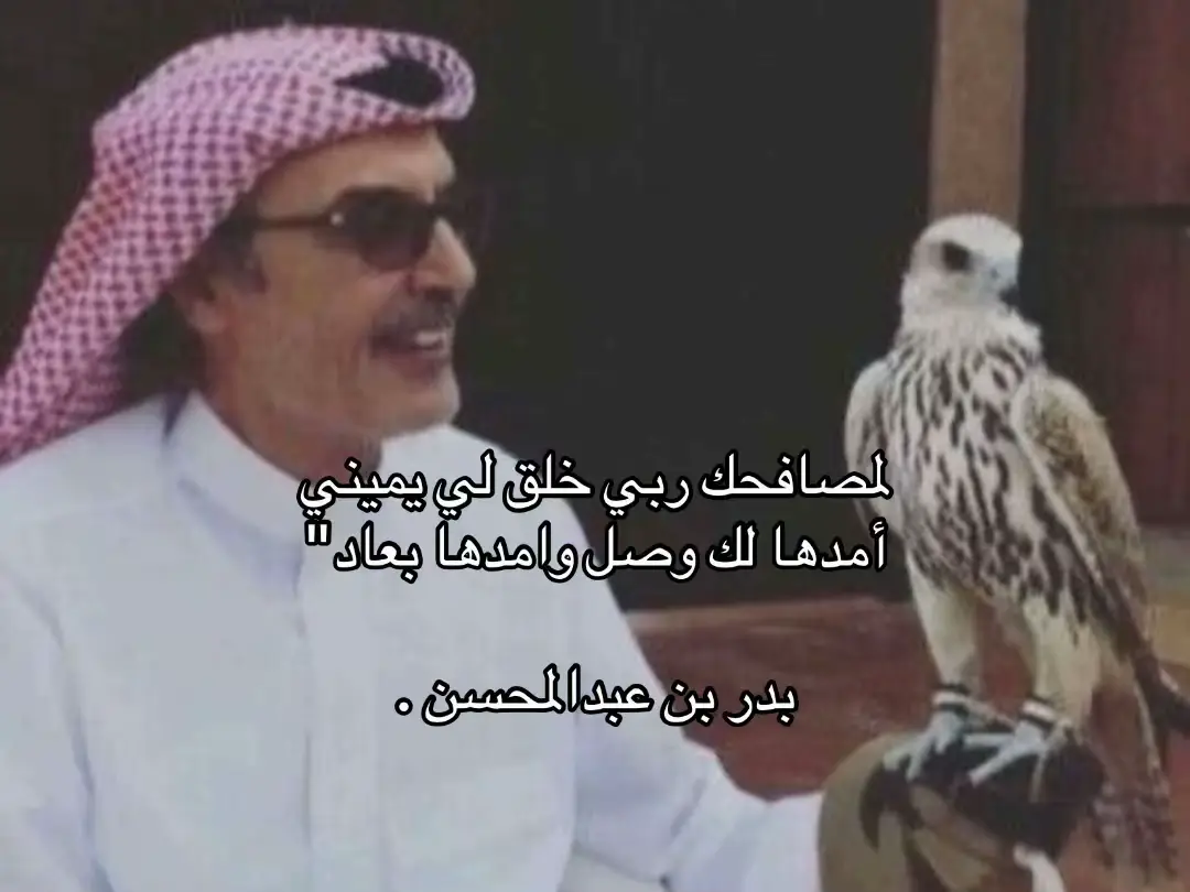 #explore #قصايد #بدر_بن_عبدالمحسن #مساعد_الرشيدي #محمد_بن_فطيس 