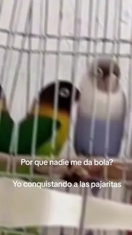 JAJAJAJAJA #meme #trend #baile #divertido #gracioso 