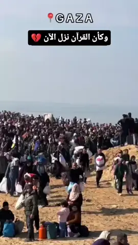 The current situation in Gaza, thousands of people are moving from one place to another, in search of a safe place to live 💔😭. #gaza #palestine  #explore  #videoviral  #tiktokviral 