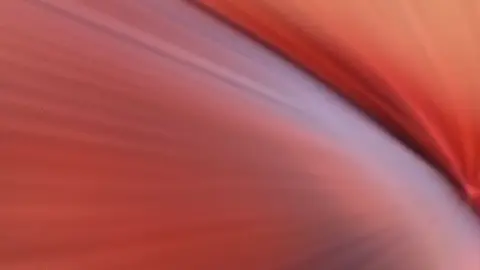 طـلـقـه هـتـخـدهـا .😉✌🏻 #تصميمي #جواد_الشولحي✌️ #تصميم_فيديوهات🎶🎤🎬 #محمدالبصيلي،🔥🔝 #capcut @محمد البصيليMohamed allbosyle 