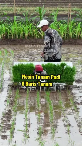 Mesin Tanam Padi 6 Baris Tanam Karyaku Karya Dalam Negeri 🇲🇨 #karyadalamnegeri  #mesintanampadi #poncotani 