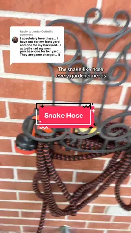Replying to @JordanCothell @Qunkun shops My favorite garden hose is on sale!!! #tiktokshopfalldealsforyou #tiktokshoprestock #gardenhose #expandablegardenhose 