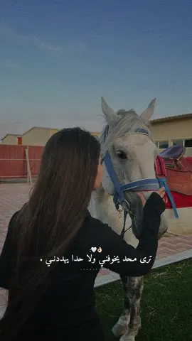 أنسانيتي فقط ولا أنا ما اخاف من احد.👌🏻🙂‍↔️✨#راشديةمطنوخة #خيل_وخياله🐎 #capcut #foryou #viralvide 