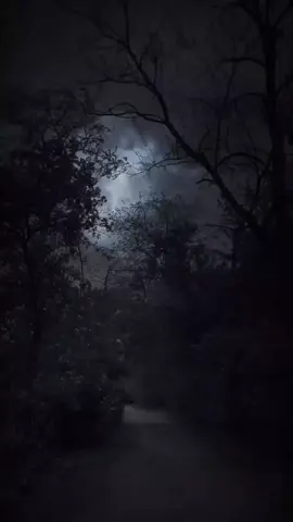 Don't goo 🥺💔 #musica #canciones #letrasdecanciones #cantante #artista 