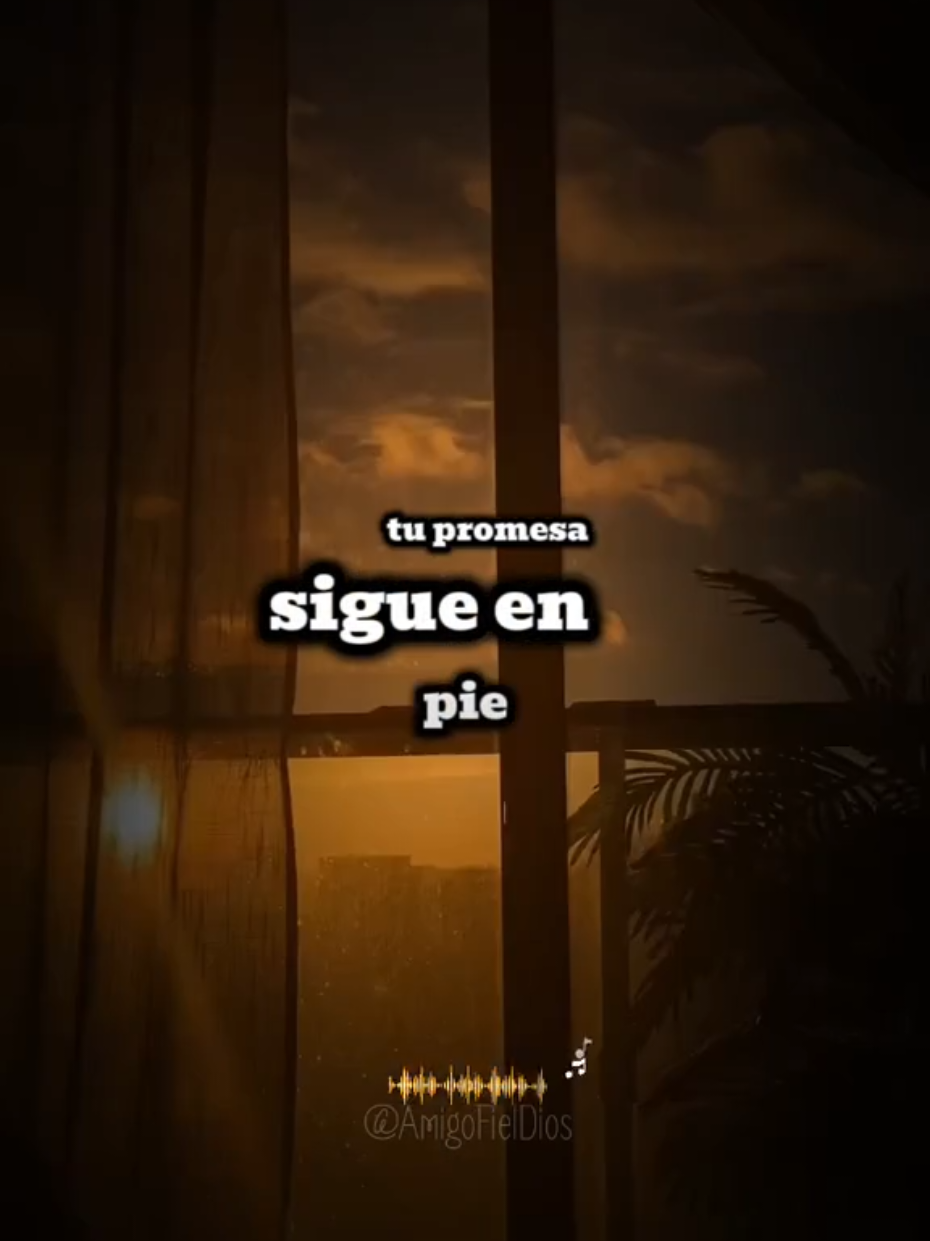 En ti confiaré, tu promesa sigue en pie tu eres Fiel. #alabanzas_cristianas #cancionescristianas #loharasotravez #elevationworship #contenidocristiano 