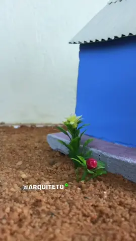 Casa simples aconchegante linda jardinagem 
