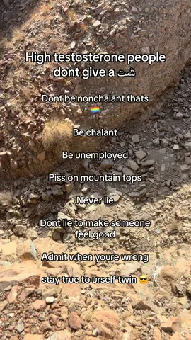 Stay chalant twin #testosteronegenerator #neverstress #fyp #nonchalant #testosteronetips 