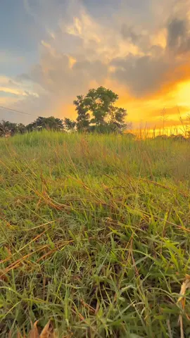 #วิวบ้านนอก🍃 #ท้องฟ้า #ฟีดดดシ #เธรดเพลง #สตอรี่ความรู้สึก 