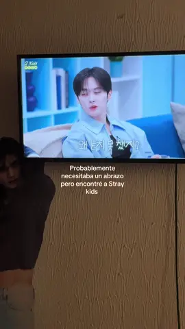Verdaderamente los amo más q a nadie 🤍#hyunjin #fypシ 