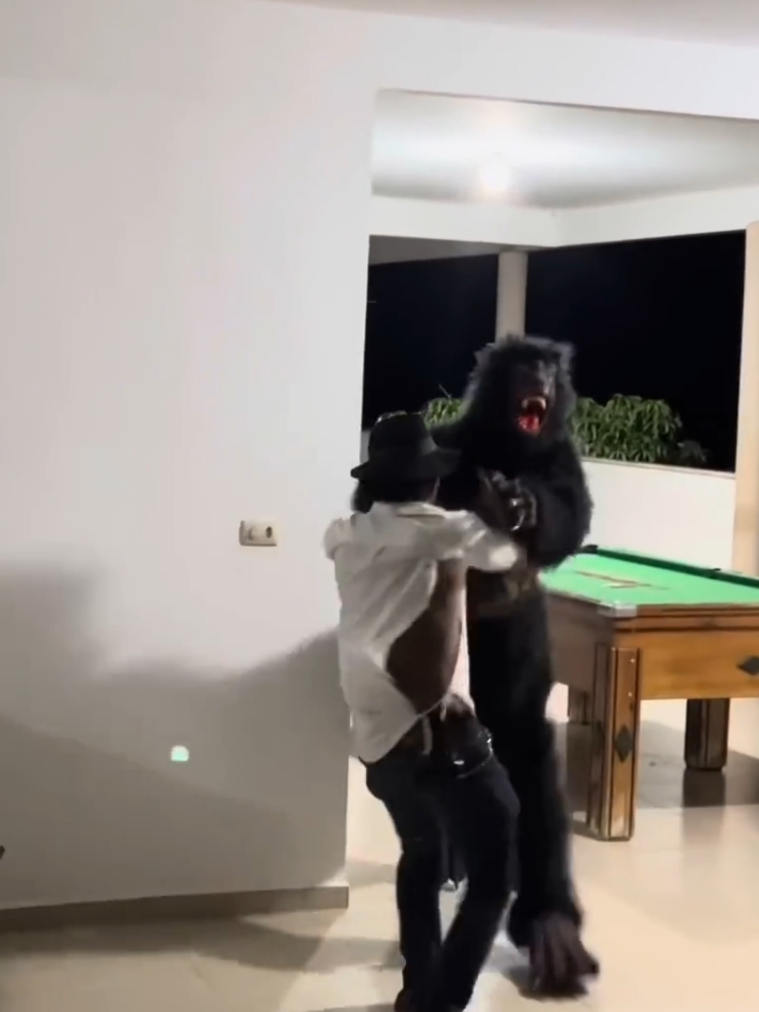 Fantasma e o lobisomen já perturbam a vida do Tiringa kkkk  #memes #tiringa#tiringaoficial #piada #piadas #sorrir #trolagem #alegria#comedia #comediahumor #humor