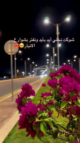 #حزينہ♬🥺💔 #متابعه_ولايك_واكسبلور_فضلا_ليس_امر #تصويري_احترافي_الاجواء👌🏻🕊😴 #غروب_الشمس💕✨ 