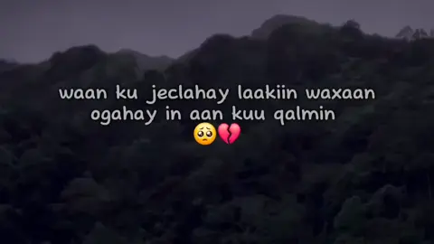 ku qalmin🥺💔 #fyp #qoraal #yeelko #fyppppppppppppppppppppppp #foryoupage 