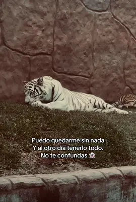 #paratiiiiiiiiiiiiiiiiiiiiiiiiiiiiiii 