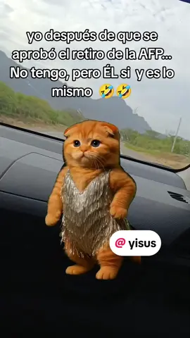 #Meme #MemeCut #CapCut @yisus #retiroafp #AFP 