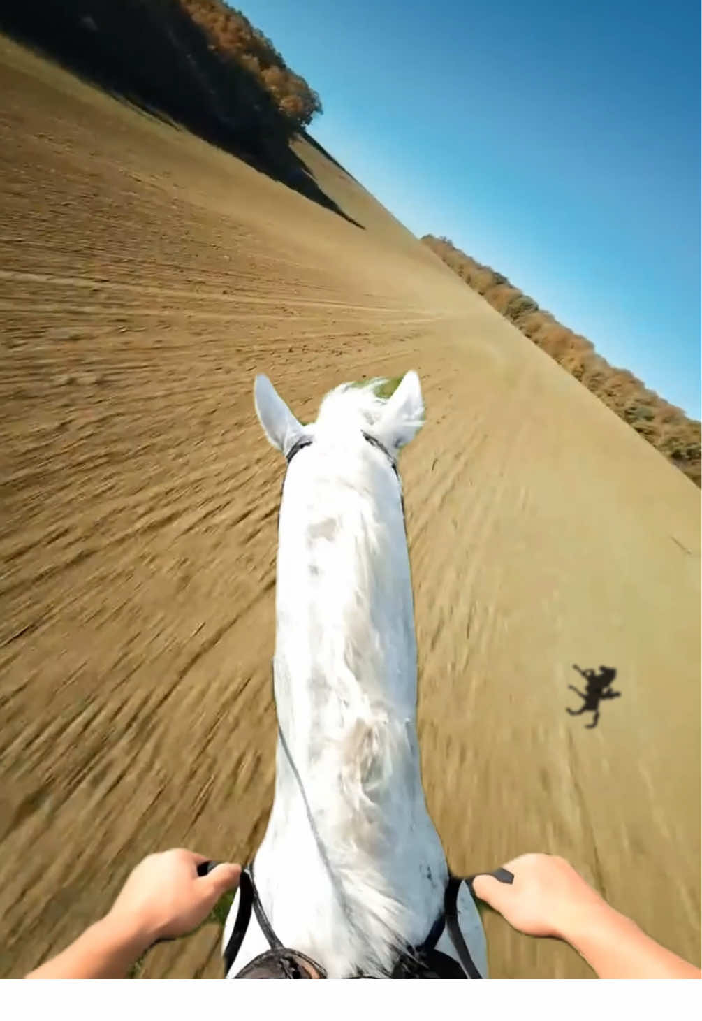 Replying to @️ no its not #fyp #foryou #viral #video #horse 