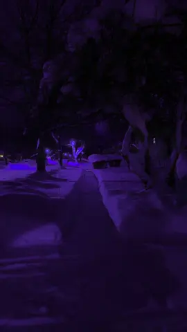 #winter #pastelghost #fyp #purple 
