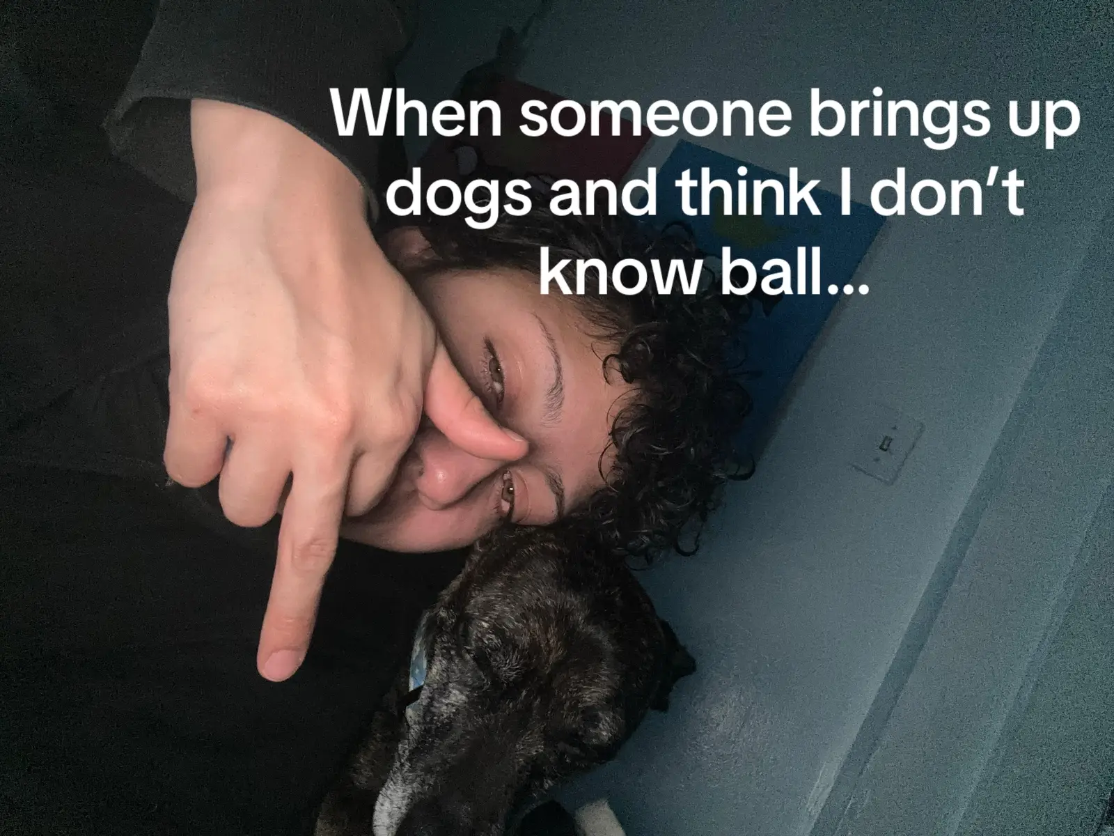 Wouldn’t trade it for the world 🫶🏼🐶 #knowball #dogsoftiktok #dog #doggiedaycarelife #fyp