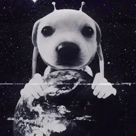 😈😈😈😈😈😈😈😈😈😈 #Gogthealiendog #67 #Funk #FunkNoCapCut #fyp 