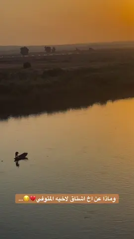 #المهندس_محمد_عبدالله_الوسمي #حذيفه_الوسمي📍 #فچيده #البلدوزر #الداغر_حمد 