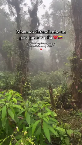 #colombia #ejercitodecolombia #motivation 