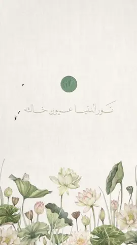 بيبي علي🤍#مولود #بشارة_مواليد #خالته #ولد_الاخت #بيبي 