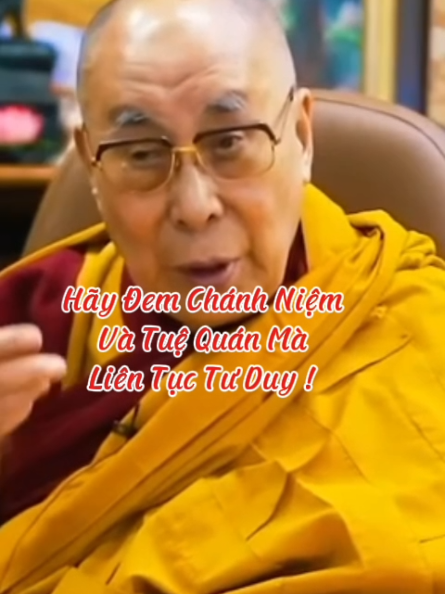 Hãy đem chánh niệm và tuệ quán mà liên tục tư duy #loiPhatday #DatLaiLatMa #thongdiepcuocsong #nhungcaunoihay #xuhuongtiktok 