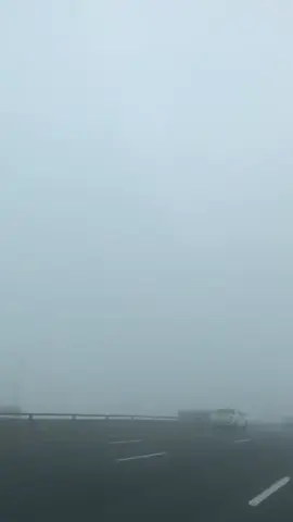 #creatorsearchinsights    #Israel #FreePalestine #Gaza #MiddleEast