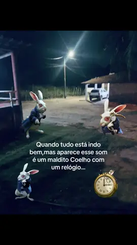 #fyppp#coelho#relogio#trend#viralreels